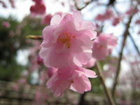 62f7d1f4.jpg