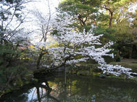b3e7a264.jpg