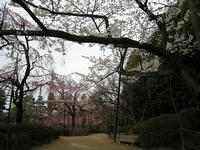 s-IMG_0054.jpg
