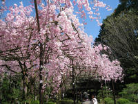 s-IMG_0858.jpg