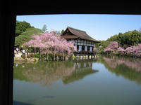 s-IMG_0886.jpg