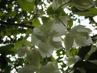 s-IMG_0058.jpg