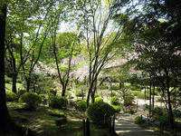 s-IMG_0032.jpg