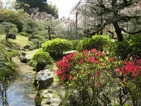 s-IMG_0035.jpg