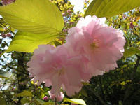 s-IMG_0039.jpg