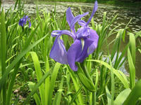 f290b5f5.jpg