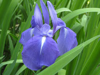 6589b1b2.jpg