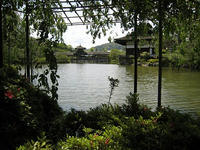6579c904.jpg