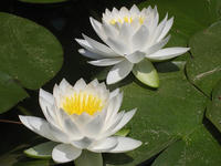 d36864c6.jpg