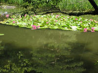 a62610b1.jpg