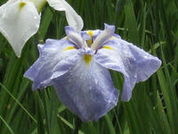 3415f80c.jpg