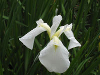 a4573d20.jpg