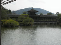 0e3f5704.jpg