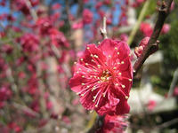 6e85f8a3.jpg