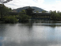 abd82564.jpg