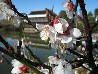 s-IMG_0056.jpg