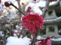 s-IMG_0070.jpg