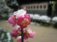 s-IMG_0105.jpg