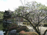 9d1b3866.jpg