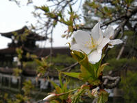 s-DSCN1319.jpg