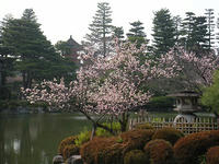 s-DSCN1327.jpg
