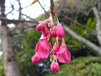 s-DSCN1344.jpg