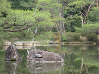 s-DSCN1353.jpg
