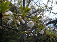 s-DSCN1360.jpg