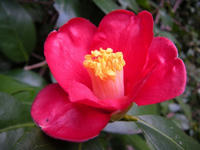s-DSCN1379.jpg