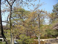s-DSCN1416.jpg