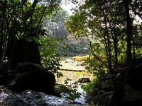 s-DSCN1431.jpg
