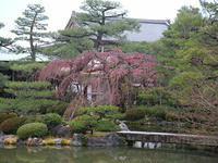 s-DSCN1444.jpg