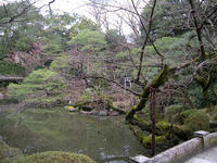 s-DSCN1471.jpg