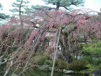 s-DSCN1511.jpg