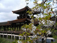 s-DSCN1522.jpg