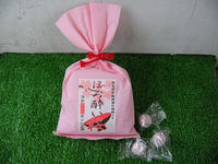s-DSCN1589.jpg