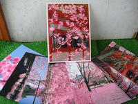 s-DSCN1592.jpg