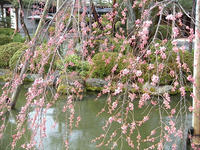 s-DSCN1602.jpg