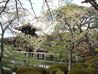 s-DSCN1613.jpg