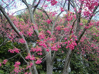 s-DSCN1626.jpg
