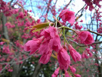 s-DSCN1628.jpg
