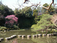 s-DSCN1669.jpg