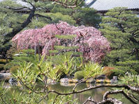 s-DSCN1675.jpg