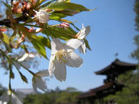 s-DSCN1680.jpg