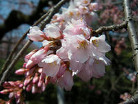 s-DSCN1683.jpg