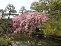 s-DSCN1692.jpg