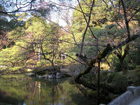 s-DSCN1803.jpg