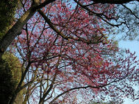 s-DSCN1807.jpg