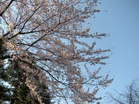 s-DSCN1818.jpg