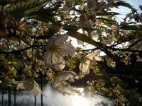 s-DSCN1843.jpg